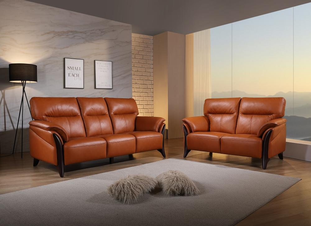 Premium reclining sofa collection